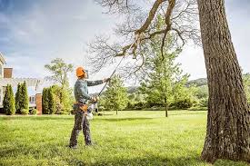 Best Tree Removal  in Koloa, HI